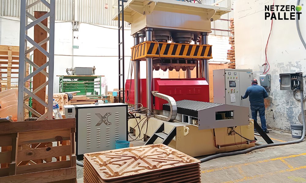Pallet dừa bền: Lựa chọn thông minh cho doanh nghiệp xanh