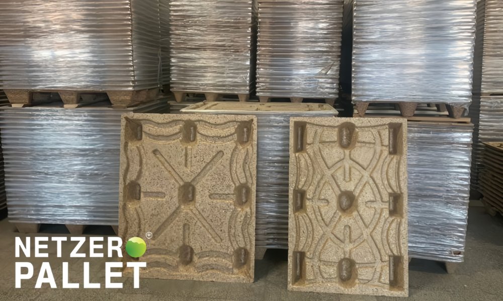 Sản xuất pallet dừa - Xu hướng bền vững cho ngành logistics