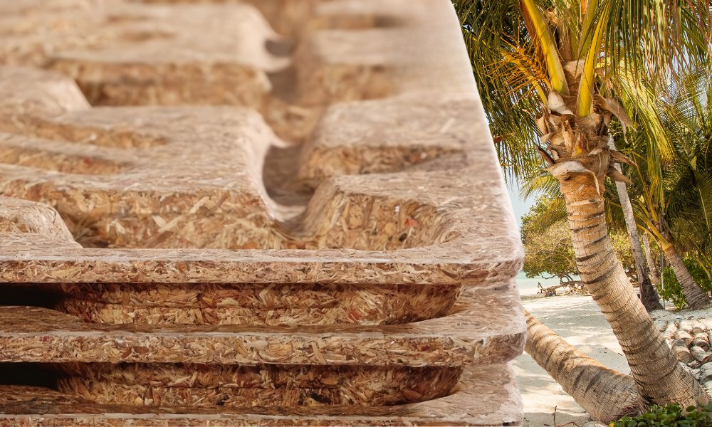 Lý do pallet dừa ngày càng được ưa chuộng