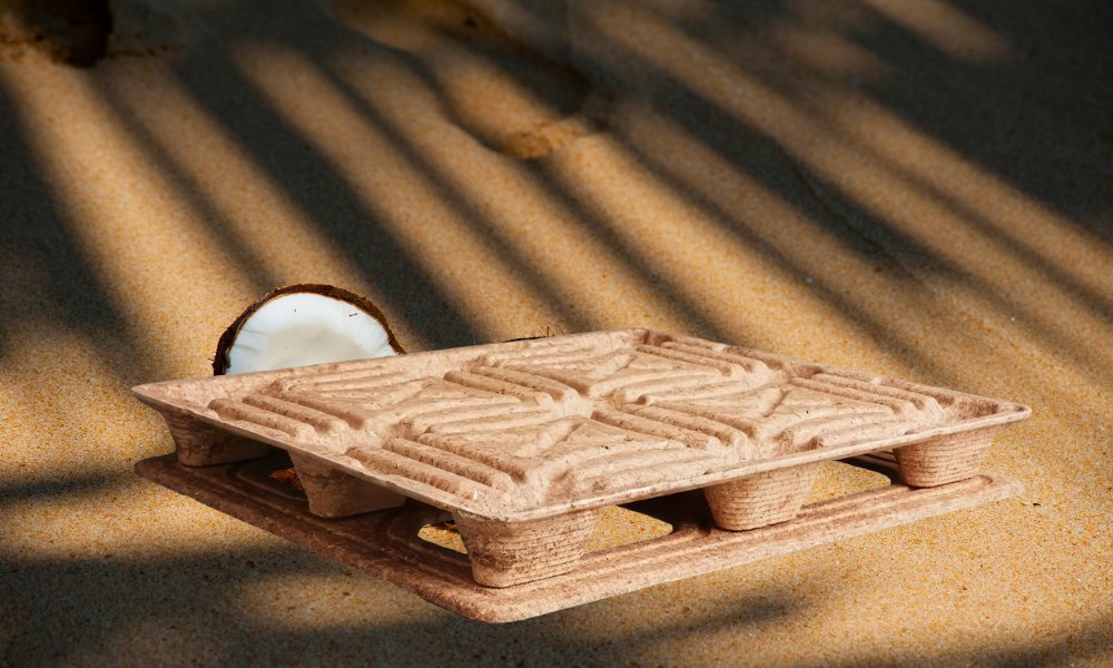 Top 3 địa chỉ bán pallet dừa chất lượng nhất hiện nay