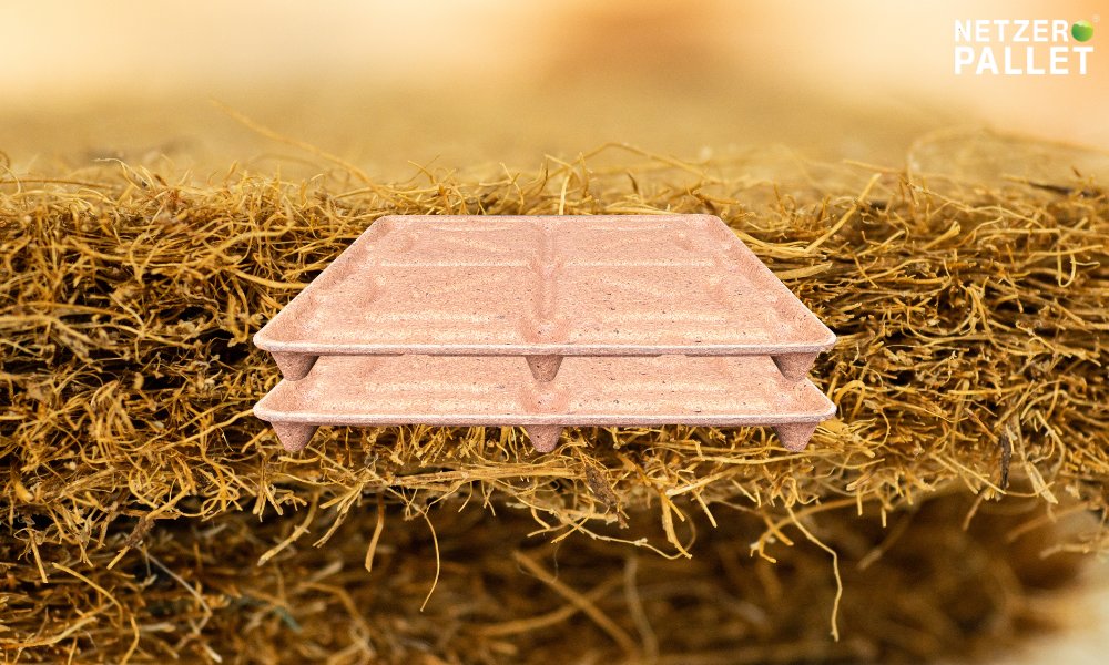 Pallet Trong Các Ngành Khác 3 Pallet dừa có phải là giải pháp tối ưu cho xuất khẩu thực phẩm?