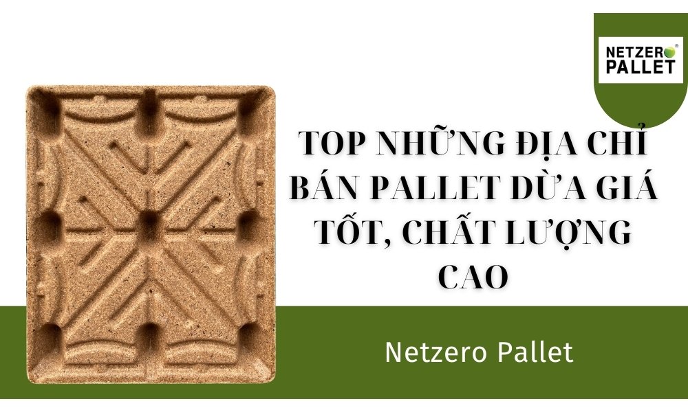 Top những địa chỉ bán pallet dừa giá tốt, chất lượng cao