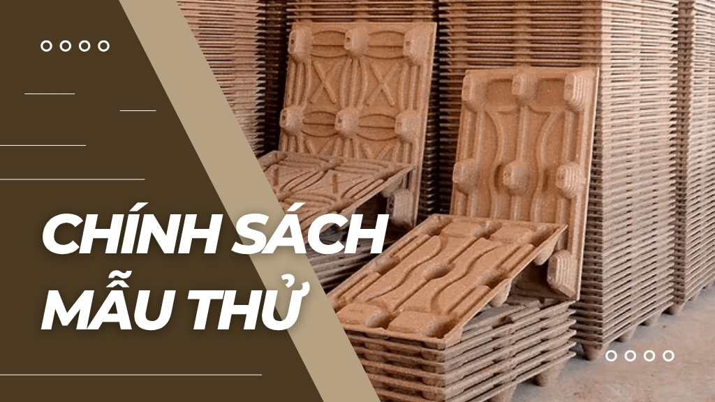 Chính sách mẫu thử